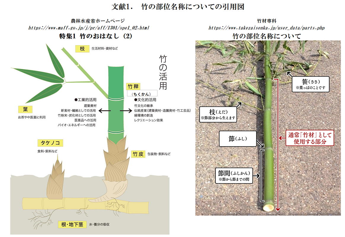 🌿 1日で1メートルも伸びる！？竹の驚異的な成長の秘密 （2025.05.16） | 藤沢市・平塚市・茅ヶ崎市・秦野市・伊勢原市・寒川町・大磯 ...